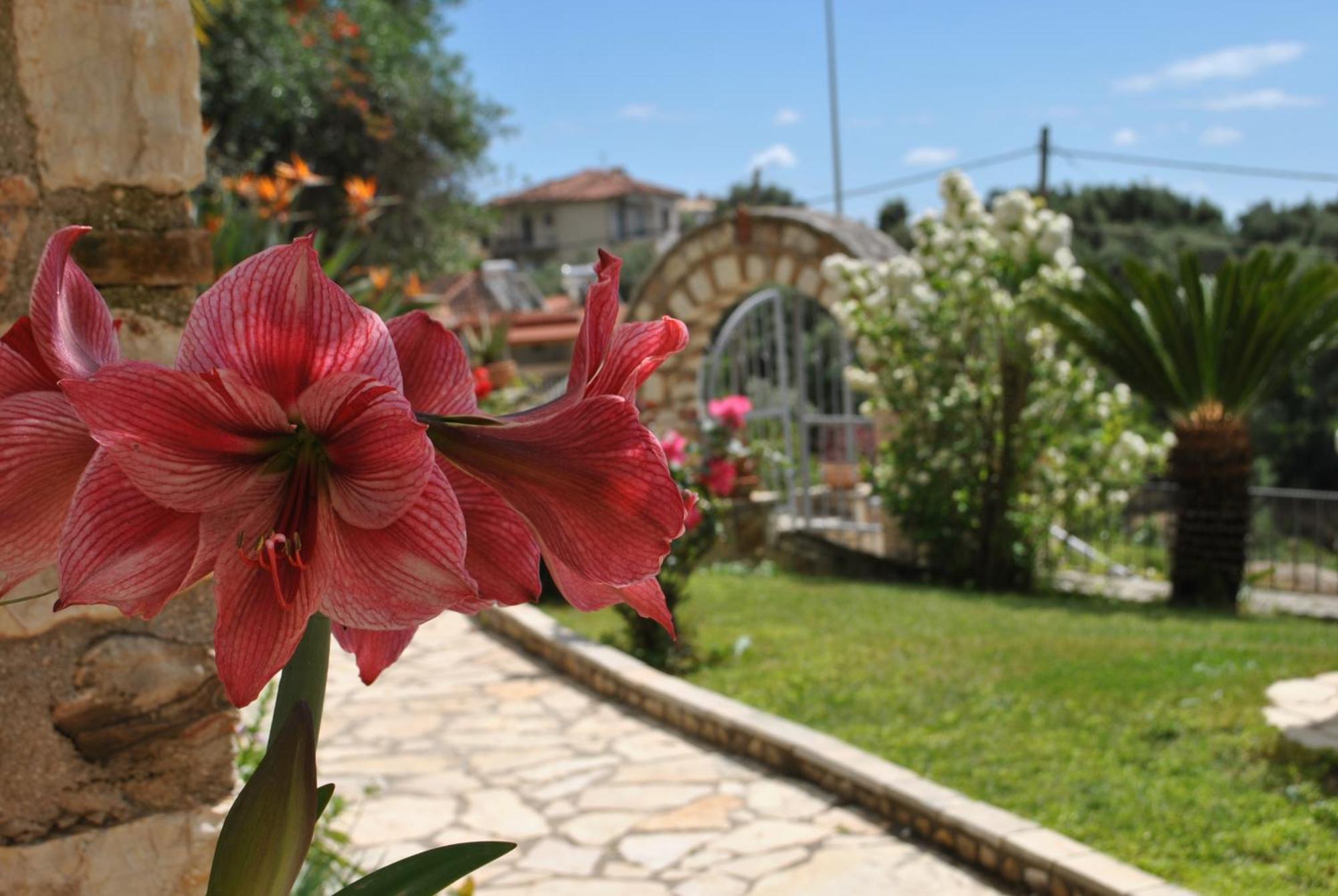 Amaryllis House Leilighet Parga Eksteriør bilde